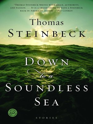cover image of Down to a Soundless Sea